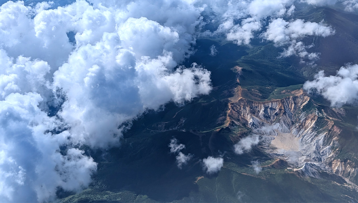 グリーンカーボンとはなにか?自然を活用した脱炭素