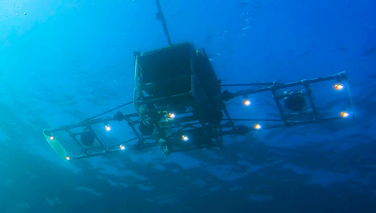 曳航式6連カメラ「SSS:Speedy Sea Scanner」