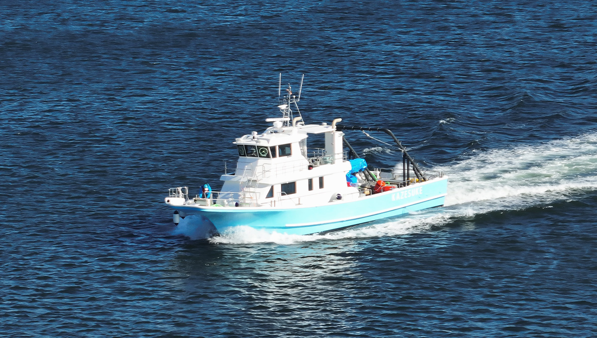 長崎県対馬　中世の港「矢櫃」調査