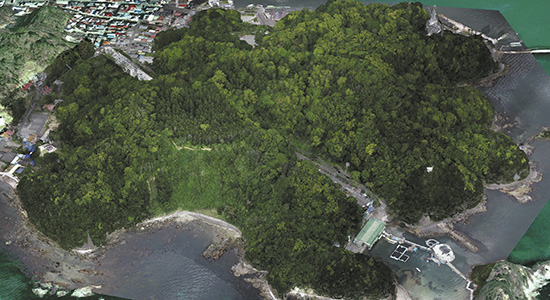 考古学調査(下田市下田城址)