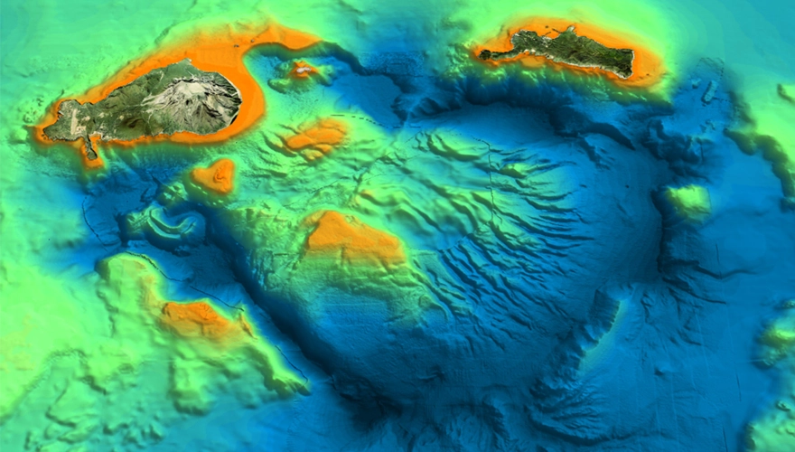 サンプルサンプル